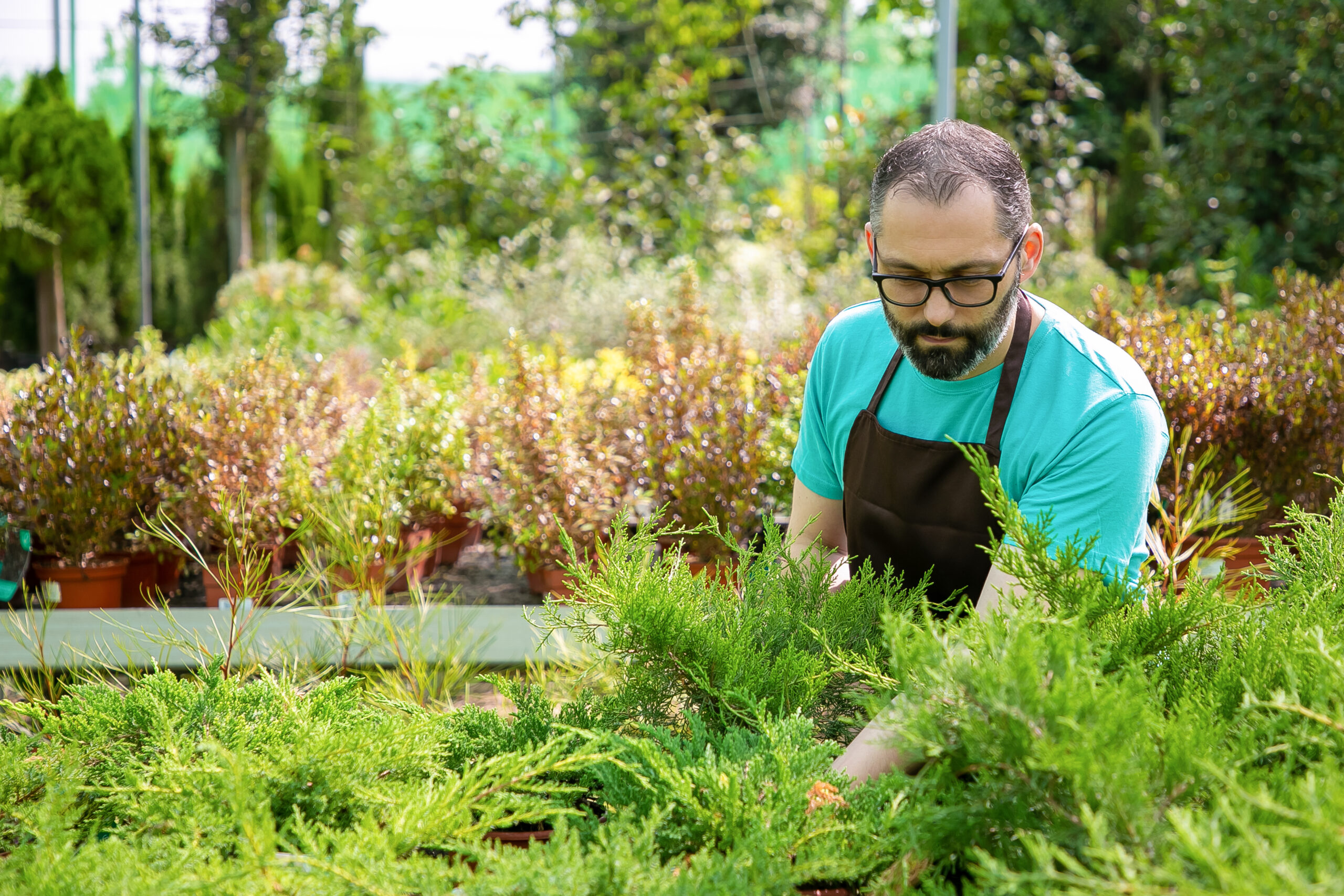 How Much Does Landscaping Cost in Carmel, IN